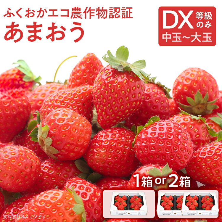 【ふるさと納税】ふくおかエコ農作物認証あまおう DX等級のみ【選べる】 あまおう イチゴ 苺 いちご フルーツ 果物 くだもの 福岡県産 お取り寄せグルメ お取り寄せ 福岡 お土産 九州 福岡土産 取り寄せ グルメ 福岡県