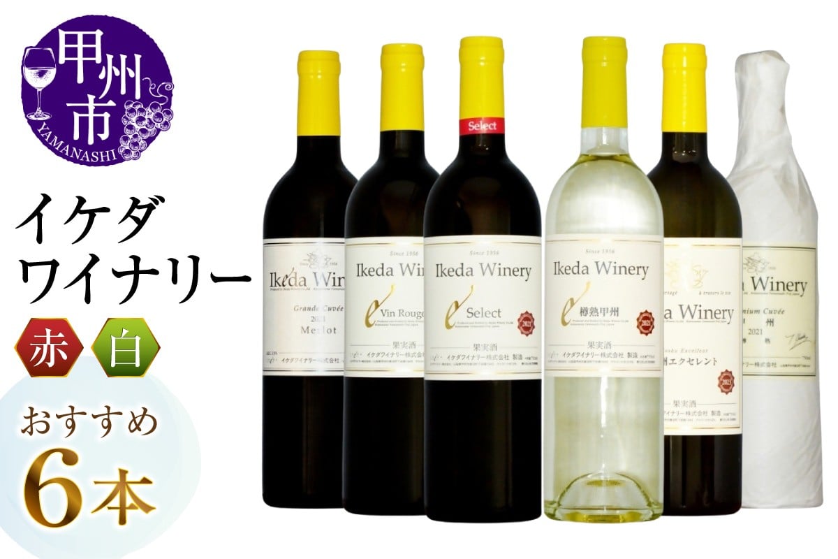 
            イケダワイナリーおすすめ赤白6本セット（MG）E6-670 【ワイン イケダワイナリー 赤ワイン 白ワイン 甲州市 山梨県】
          