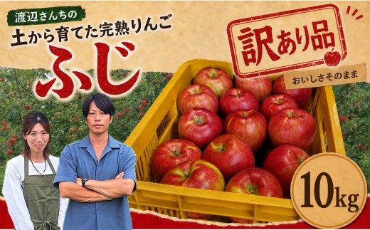 
                  訳あり りんご 完熟 ふじ 10kg 箱｜【11月下旬より順次お届け】リンゴ 林檎 フルーツ 果物 栃木県矢板市産
                