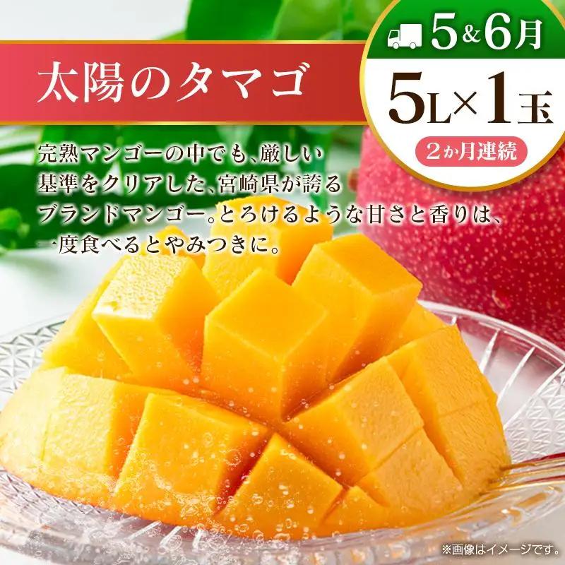 【10回定期便】旬 人気 フルーツ 南国宮崎産 太陽のタマゴ 金柑たまたまエクセレント シャインマスカット ピオーネ いちご みかん 梨 メロン 柑橘 マンゴー きんかん たまたま ぶどう 果物 詰め