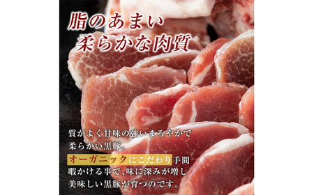 B-119 鹿児島黒豚うす切り肉3kg(200g×15パック)【米平種豚場ふくふく黒豚の里】