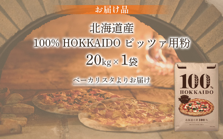 100% HOKKAIDO ピッツァ用粉 20kg TYUAI026