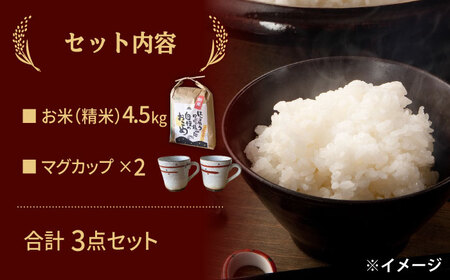 【令和5年産：精米】 特別栽培米 コシヒカリ （5kg） + 【美濃焼】 赤絵かいらぎ マグカップ （2個） 【山松加藤松治郎商店】[TEU003]