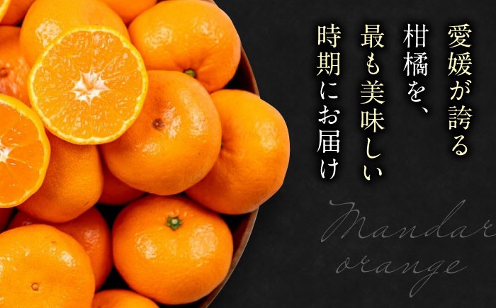 フルーツの代表！愛媛みかん 南柑20号 赤秀10kg箱（100玉～160玉） 