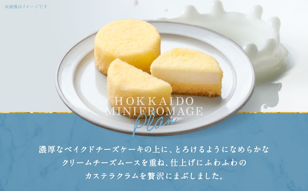 【3回定期便】 北海道ミニフロマージュ 3種 セット （プレーン ・ アップル ・ メロン） 約900g×3回 合計約2.7kg