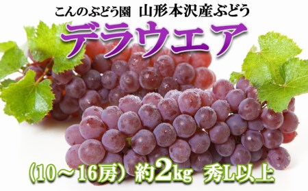 【こんのぶどう園】山形本沢産 ぶどう デラウェア 秀L以上 約2kg(10～16房) 【令和7年産先行予約】FU22-322 くだもの 果物 フルーツ 山形 山形県 山形市 2025年産