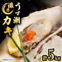 【ふるさと納税】【 着日指定可 冷蔵 】 うず潮 カキ 約5kg（約50～80個）＜西彼町漁協＞ [CBZ002] 長崎 西海 かき カキ 牡蠣 牡蠣小屋 BBQ バーベキュー 養殖 大村湾 名産 セット ナイフ付き 5kg 着日指定 日時指定 日付指定 冷蔵