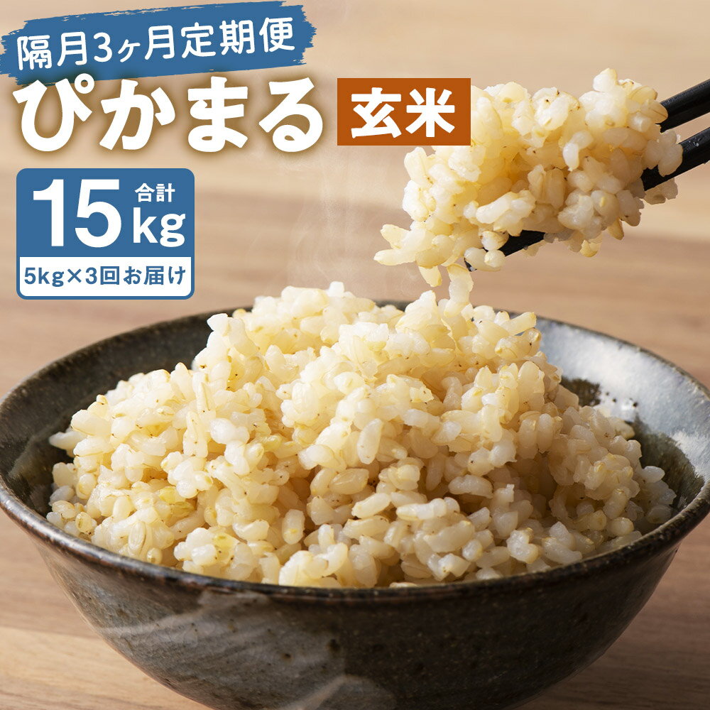 【ふるさと納税】【隔月3ヶ月定期便】【新米先行予約】低アミロース米 ぴかまる 5kg×3回お届け 合計15kg 玄米 保存袋付き お米 栽培期間中無農薬 九州産 福岡県産 送料無料【2025年11月上旬より順次発送予定】