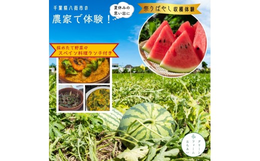 大玉スイカ 「祭りばやし」 収穫体験 ＋スペイン料理ランチ 付き！農家で過ごす特別な夏休み 千葉県八街市 1日限定5組 収穫体験 グリーンファーム落合 1日限定5組