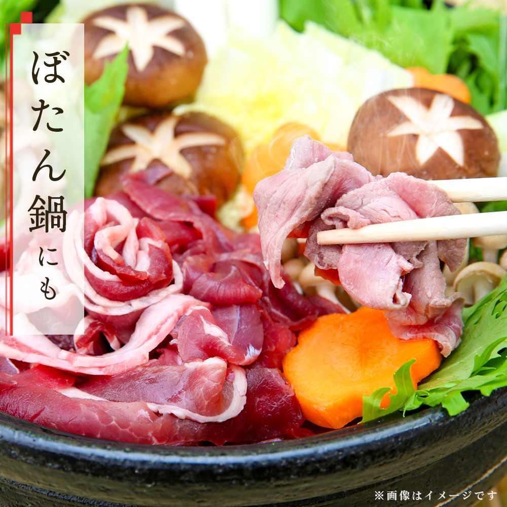 脊振ジビエ イノシシ肉バラエティセット 約1.4kg【脊振 ロース ばら 肩ロース ミンチ カレー 鍋 セット】(H059118)