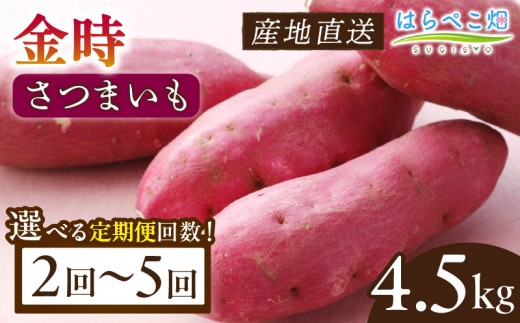 
                  《選べる回数》【定期便】さつまいも 金時 4.5kg・H130-SKU
                