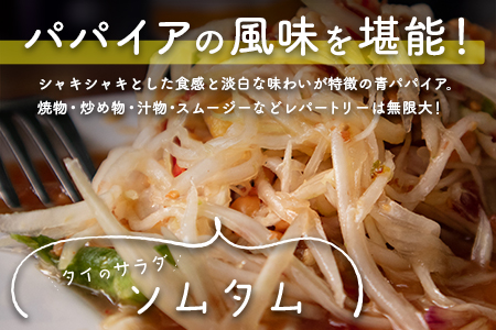 青パパイヤ 5kgセット 酵素の王様・健康万能野菜 パパイア王子厳選 宮崎県産【B686】