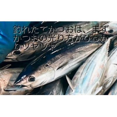 ふるさと納税 南国市 もちもち食感!ビリかつおわら焼きタタキ300g×2節(タレ・ニンニク付) |  | 01