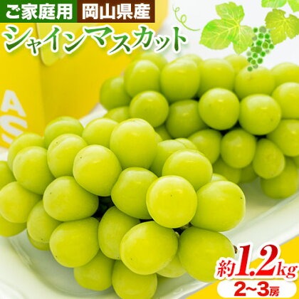 【先行予約】ご家庭用 岡山県産 シャインマスカット 約1.2kg ( 2-3房 ) クール便 晴れの国 おかやま館 (つむぐ株式会社) 《9月上旬-10月下旬頃出荷》岡山県 浅口市 マスカット ぶどう 葡萄 果物 フルーツ 送料無料【配送不可地域あり】（離島）