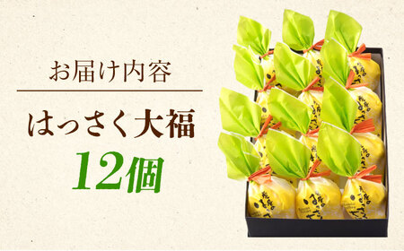 はっさく大福 12個入 [BADH012]大福