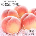 【ふるさと納税】【選べる容量】和歌山の桃 秀品 【選べる容量】 ※2025年6月下旬～8月上旬頃順次発送(お届け日指定不可) /もも モモ 桃 フルーツ 果物 人気 旬