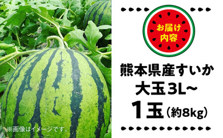 【2026年 先行予約】【数量限定】大玉すいか 3L以上 1玉入り 約8kg【日本フルーツ株式会社】[AYDA007]