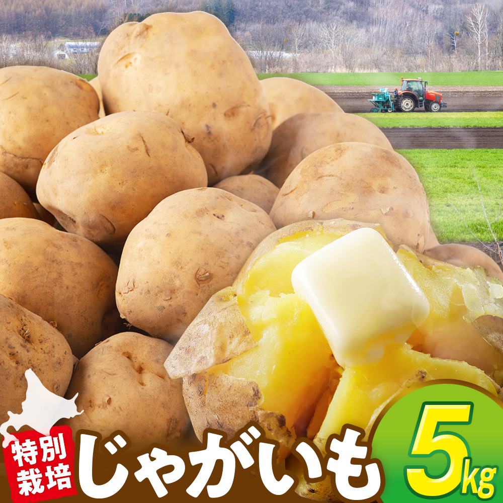 【先行受付】R8年産 特別栽培じゃがいも（男爵） 5kg | ジャガイモ 芋 男爵 馬鈴薯 大容量 新鮮 野菜 煮物 カレー シチュー ポテト 保存 特産 産地直送 北海道 津別町 送料無料
