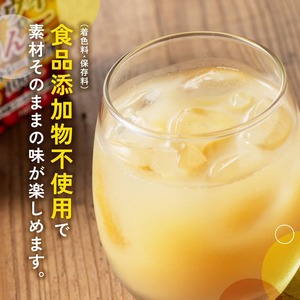 サンAキウイとりんごジュース100％　100ml紙パック×12本×2ケース 【 飲料 ジュース キウイ りんご リンゴ 九州産 紙パック 送料無料 】