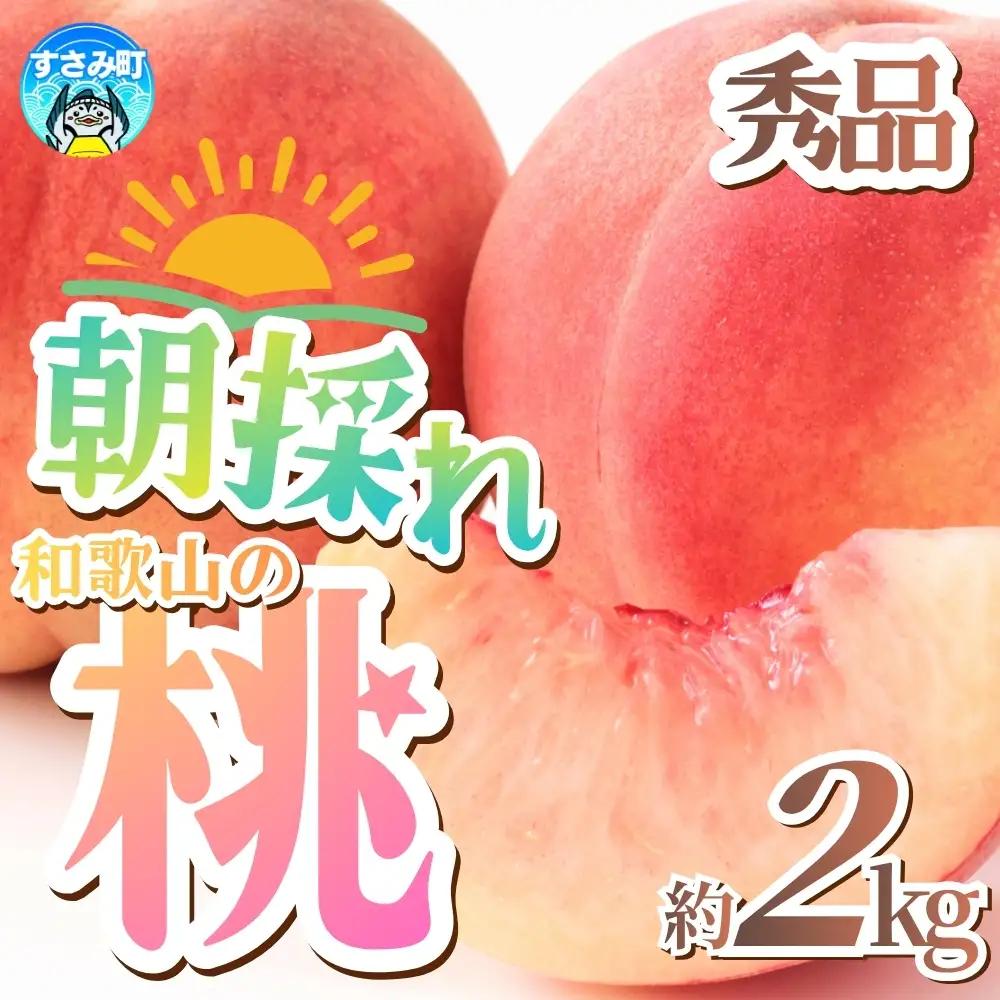 桃 夏は桃！朝採れ秀品 和歌山の桃約2kg【tec910B】