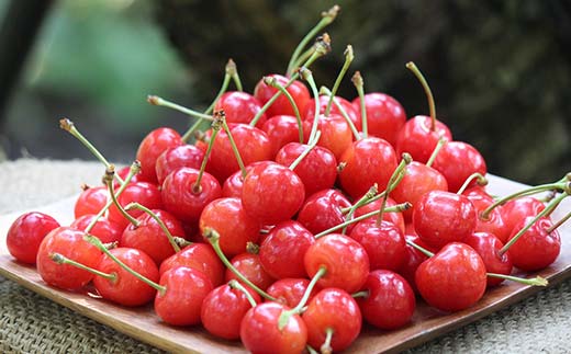 さくらんぼ佐藤錦 約700g 350×2 L以上化粧箱 果物 くだもの フルーツ 夏果物 サクランボ F4A-0947