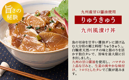 漬け丼 の素 北海道 白糠町産 天然 ぶり 14袋  漬け丼 ブリ ハマチ ふるさと はまち 刺身 お刺身 海鮮丼 北海道産 漬け 海鮮 お刺身 小分け 簡単 お手軽 buri hamachi_A01