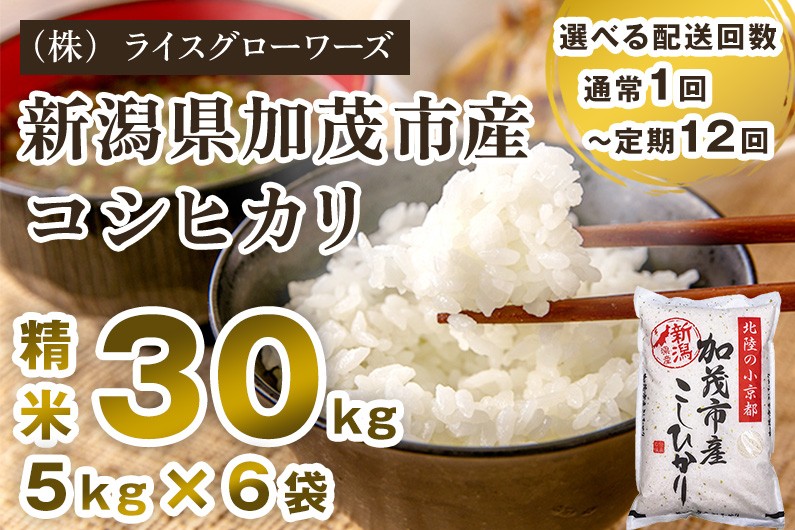 
                  【令和7年産】【選べる配送回数】新潟県加茂市産コシヒカリ 精米 30kg（5kg×6）《順次出荷 》 定期便 隔月便 新潟県産コシヒカリ 新潟産コシヒカリ 新潟コシヒカリ 新潟県産こしひかり 新潟産こしひかり 新潟こしひかり コシヒカリ こしひかり お米 白米 米  （株）ライスグローワーズ
                