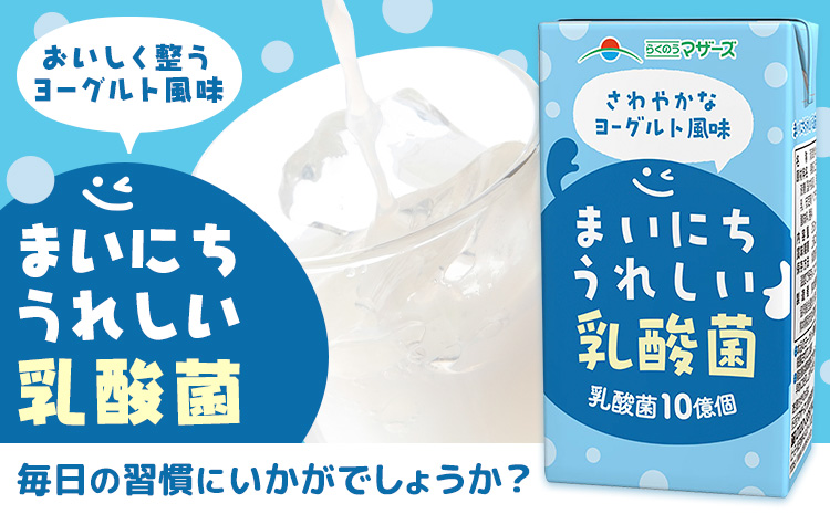 常温保存可能 まいにちうれしい 乳酸菌 ヨーグルト風味 250ml×48本 合同会社たべたせいか《30日以内に出荷予定(土日祝除く)》熊本県 菊池市 紙パック ヨーグルト飲料 乳酸菌 ドリンク 飲み物