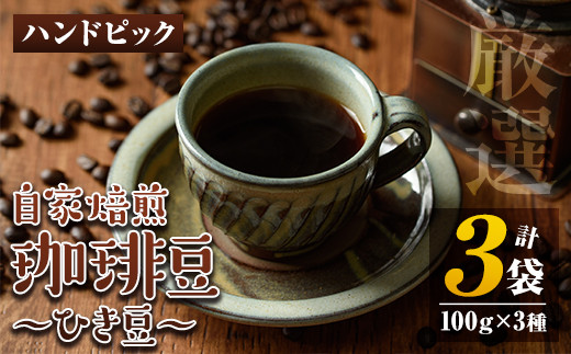 
isa213 自家焙煎珈琲ひき豆3袋(計300g・100g×3種)時間と手間をかけて徹底したハンドピックで選び抜いたコーヒー豆を、少量づつ丁寧に焙煎！3種飲み比べも！【工房ゆう】
