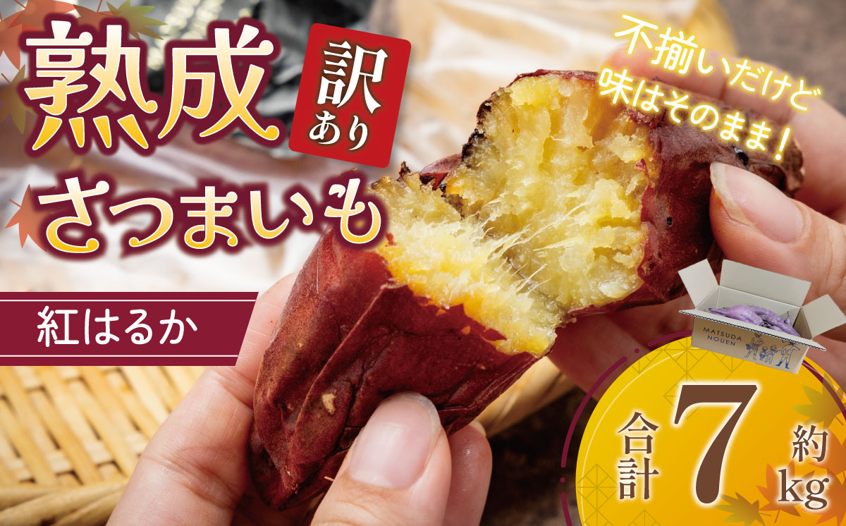茨城県産 熟成さつまいも ( 紅はるか ) SS〜3Lサイズ訳アリ7kg ( 箱入り )【 紅はるか さつまいも サツマイモ おやつ スイーツ 甘味 デザート 訳アリ 訳あり 10000円 茨城県 つくば市 】
