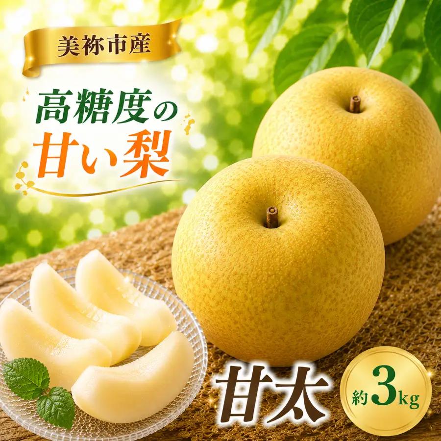 美祢市産 梨 甘太 ( かんた ) 約3kg 先行予約 ( 2026年9月末 ～ 発送予定 ) 
