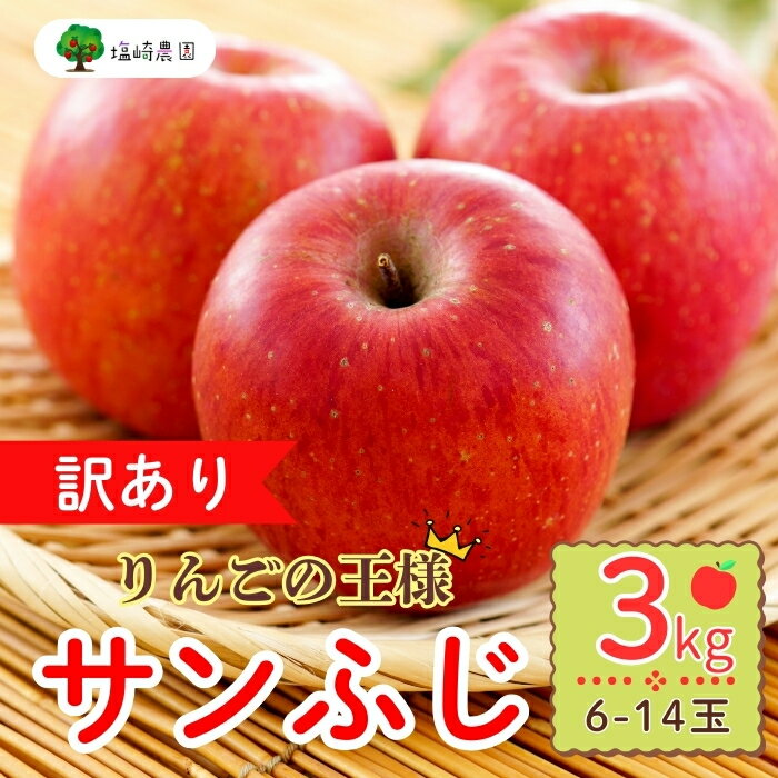 【ふるさと納税】【先行予約】【訳あり】規格外 サンふじ 約3kg(6〜14玉）（2025年産） (7-A39-1)＜出荷時期：2025年12月中旬ごろ〜＞【 りんご フルーツ 長野県 飯山市 甘味 酸味 リンゴ 林檎 くだもの 果物 ギフト プレゼント お歳暮 御歳暮 わけあり 訳あり 】