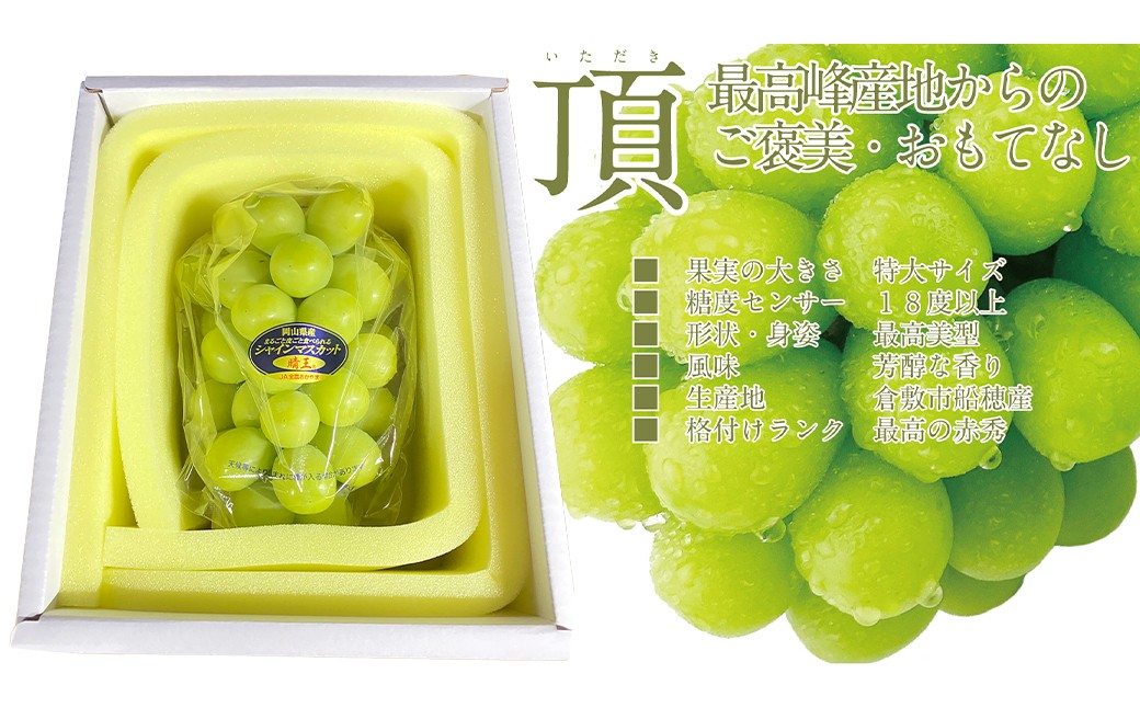 プレミアムシャインマスカット晴王 船穂Ver  赤秀ぶどう1房 約700g