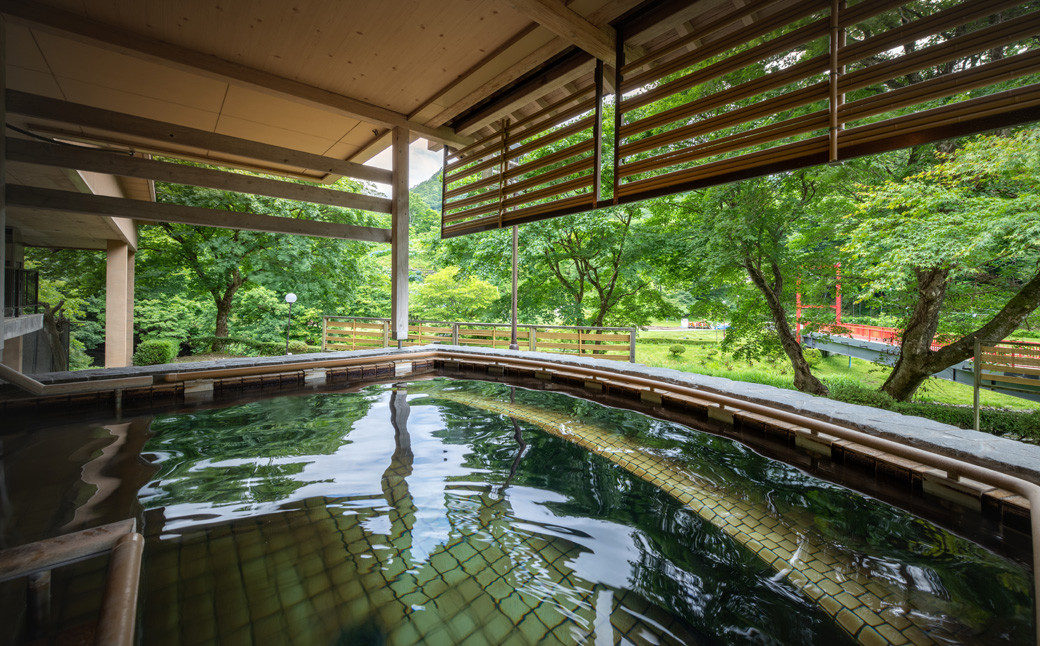 新鉛温泉 結びの宿  愛隣館  日帰り 入浴券 （10枚セット） 【1267】