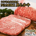 【ふるさと納税】12か月定期便 NAMIKI和牛ステーキ（250g×3枚／計9kg）【国産 牛肉 ステーキ 冷凍 送料無料 青森県 七戸町 和牛 金子ファーム お祝い 贈り物 誕生日 クリスマス 正月 ギフト お肉 NAMIKI 定期便 12ヶ月連続 ご飯のお供】【02402-0213】