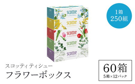 ティッシュペーパー スコッティ ティシューフラワーボックス 250組 × 60箱 ティッシュ 日用品