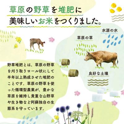 ふるさと納税 産山村 【令和7年産新米】おとみや日和　阿蘇の名水と野草堆肥のめぐみ　玄米10kg |  | 01