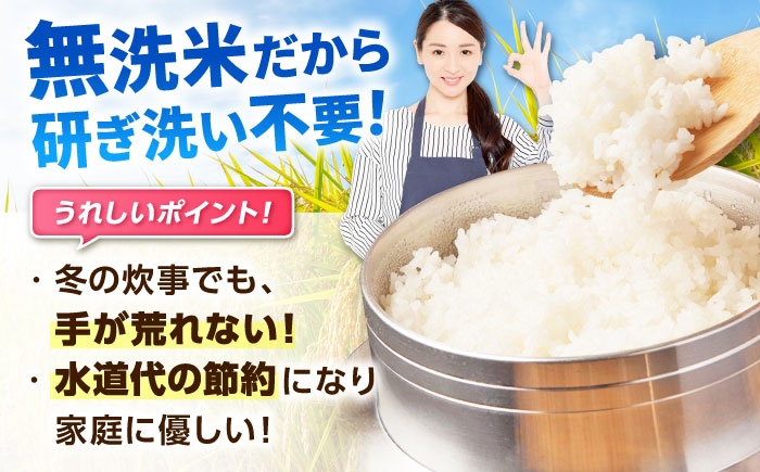 特A獲得！さがびより 無洗米 3kg | ごはん 米 お米 白米 こめ