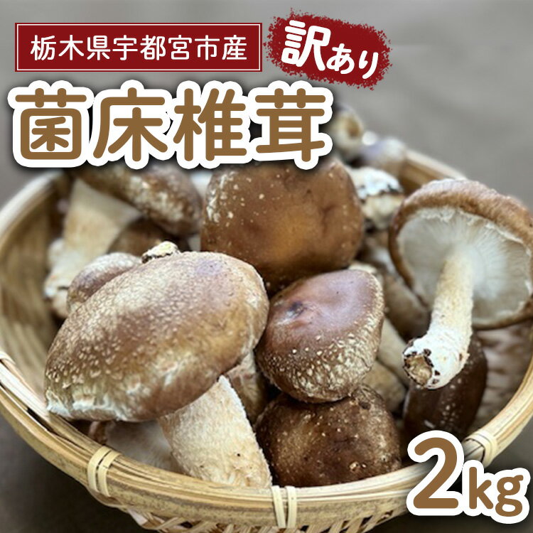 【ふるさと納税】【先行受付】【訳あり】栃木県宇都宮市産　菌床椎茸　2kg ※2025年11月以降順次発送予定