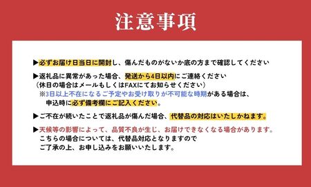 【訳アリ】西内小夏　3kg　N42 [NU-01] 【西内農園】