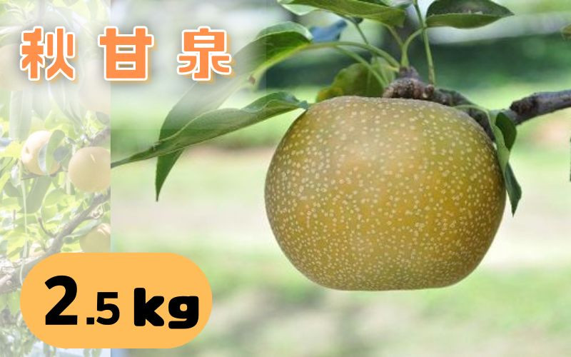 
            【41004】秋甘泉（梨）
          