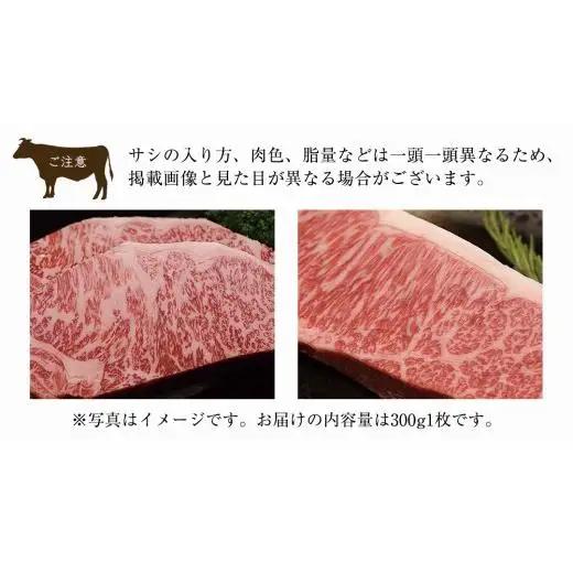 【 6ヶ月定期便 】【 常陸牛 】煌 サーロイン ステーキ 300g ( 1枚 ) ( 化粧箱入り ) ( 茨城県共通返礼品 )