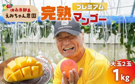 【 2026年 先行予約 】 えみちゃん農園 の プレミアム 完熟 マンゴー 1キロ （ 大玉 2個入り ） C008-005 果物 フルーツ