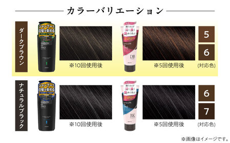 ダリヤ サロンドプロ メンズカラーシャンプー・カラートリートメント 各3個セット【ダークブラウン】 / 稲沢市 / 日興商事株式会社 [BMBK009-01]