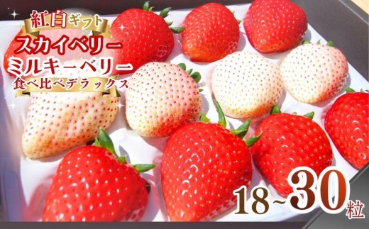 
                  スカイベリー ミルキーベリー 食べ比べDX 約18～30粒【2027年1月以降発送】ギフト 贈答 |いちご 苺 フルーツ 果物  澳原いちご農園 栃木県 矢板市
                