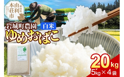 【白米】ゆめおばこ 秋田県産 岩城町農園のゆめおばこ 20kg（5kg×4袋）令和7年産 真空パック [ゆめおばこ 米 お米 こめ 白米 精米 食卓 ご飯 ごはん おにぎり 秋田県 由利本荘市]