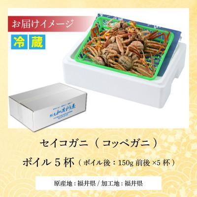 ふるさと納税 小浜市 【先行予約】加福鮮魚「若狭小浜港産地直送」　セイコガニ(コッペガニ)ボイル5杯 |  | 03