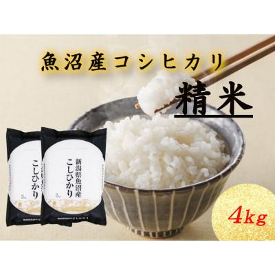 ふるさと納税 十日町市 魚沼産コシヒカリ　2kg×2