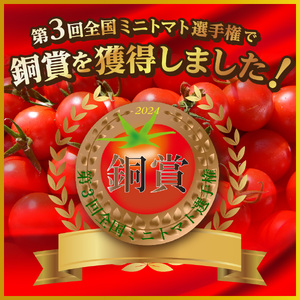FUJITOMA　（フルーツトマト）　1kg