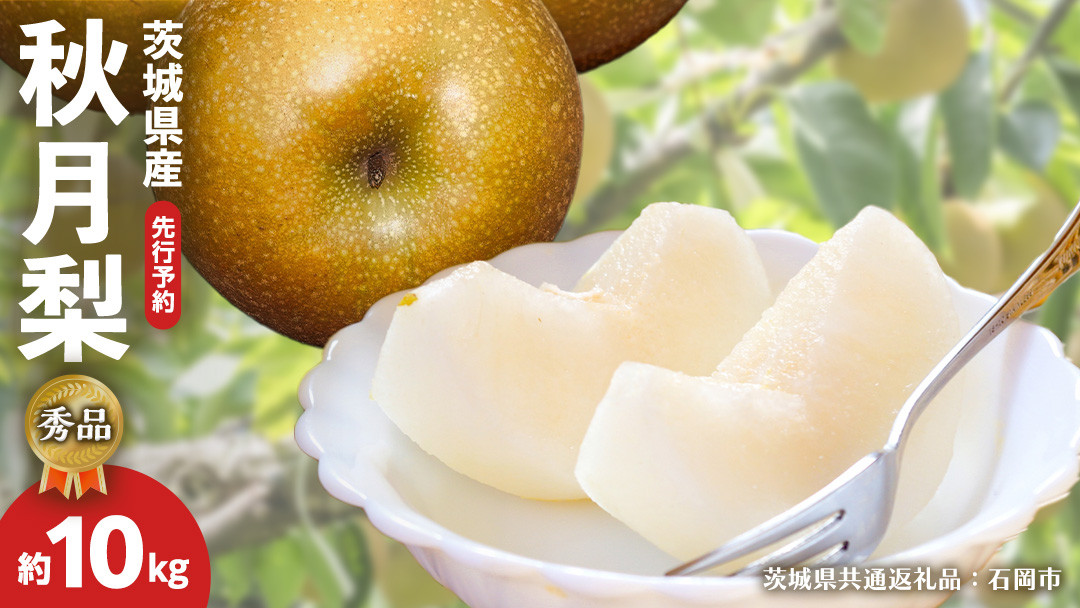 
            《 先行予約 》 【 秀品 】 茨城県産 梨 秋月 10kg （茨城県共通返礼品：石岡市） フルーツ 果物 なし ナシ 旬 新鮮 旬 期間限定 甘い 国産 【 2025年9月中旬頃より発送開始 】
          
